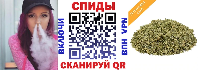 где купить Ленинск-Кузнецкий Бутират BDO