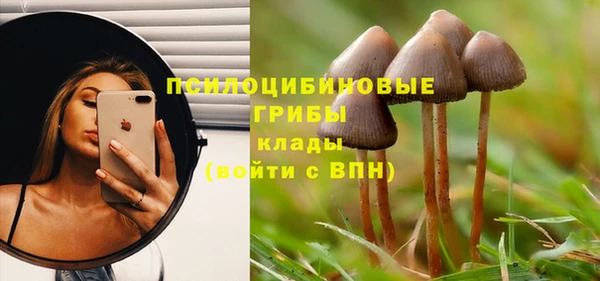 мяу мяу мука Алексин