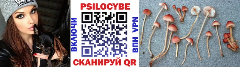 Псилоцибиновые грибы GOLDEN TEACHER  купить наркотик  Ленинск-Кузнецкий 
