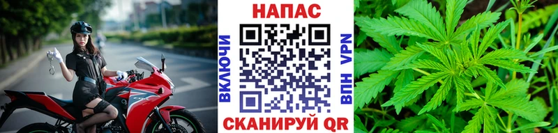 блэк спрут ссылка Ленинск-Кузнецкий Бошки марихуана план